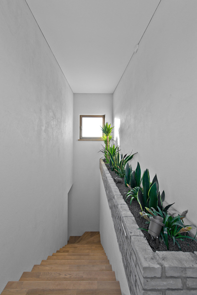 Ąžuoliniai masyvo laiptai: L forma, Pilka 3417.