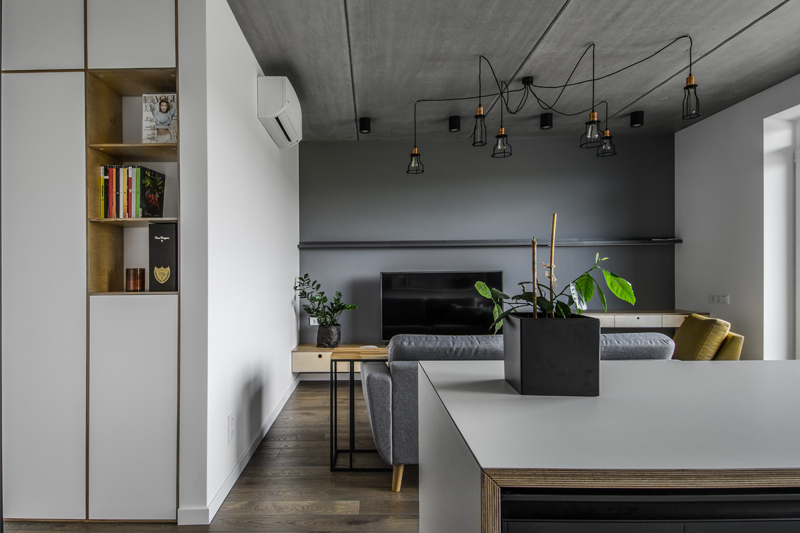 Medinės grindys, deko siena: spalva Graphite 3477.