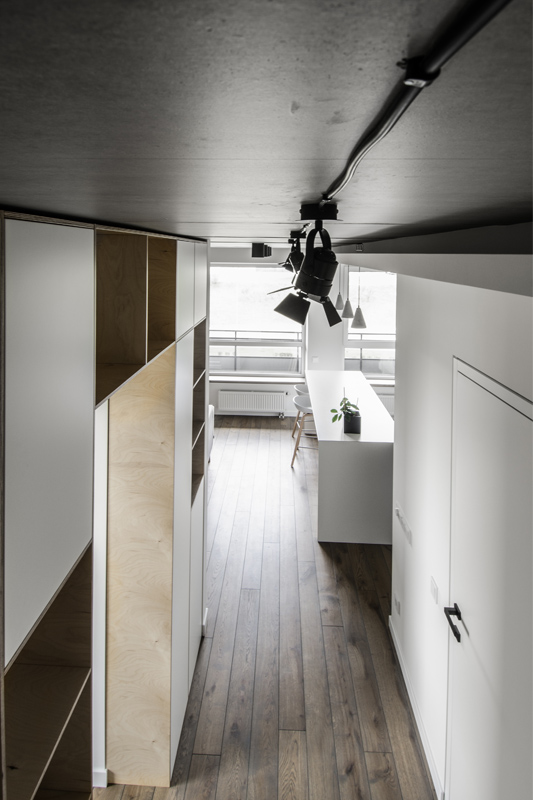 Medinės grindys, deko siena: spalva Graphite 3477.