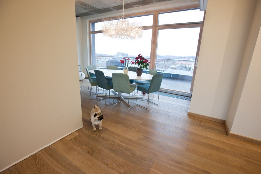 Medinės ąžuolinės grindys: 3417 Pilka.