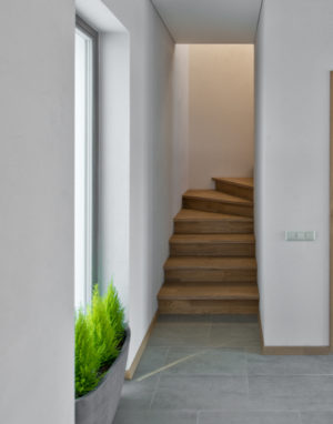 Ąžuoliniai masyvo laiptai: L forma, Pilka 3417.