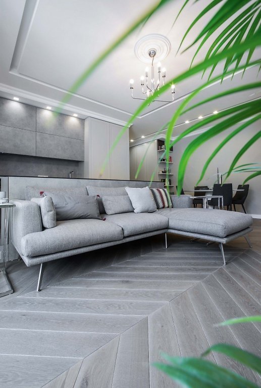 Medinės grindys Chevron eglutė Skaidriai balta Q-3409 Medžio stilius