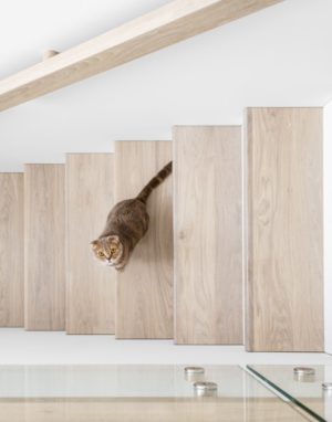 Medinės grindys, ąžuolo masyvo laiptai: spalva 3408 Balta. Medinės durys: dažytos RAL 9003, modelis ED2F.