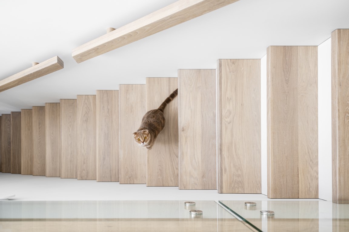 Medinės grindys, ąžuolo masyvo laiptai: spalva 3408 Balta. Medinės durys: dažytos RAL 9003, modelis ED2F.