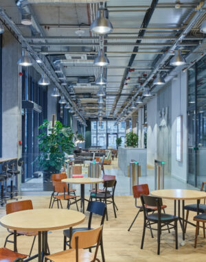 Medinės grindys, parketas: WP Charisma, bespalvė alyva