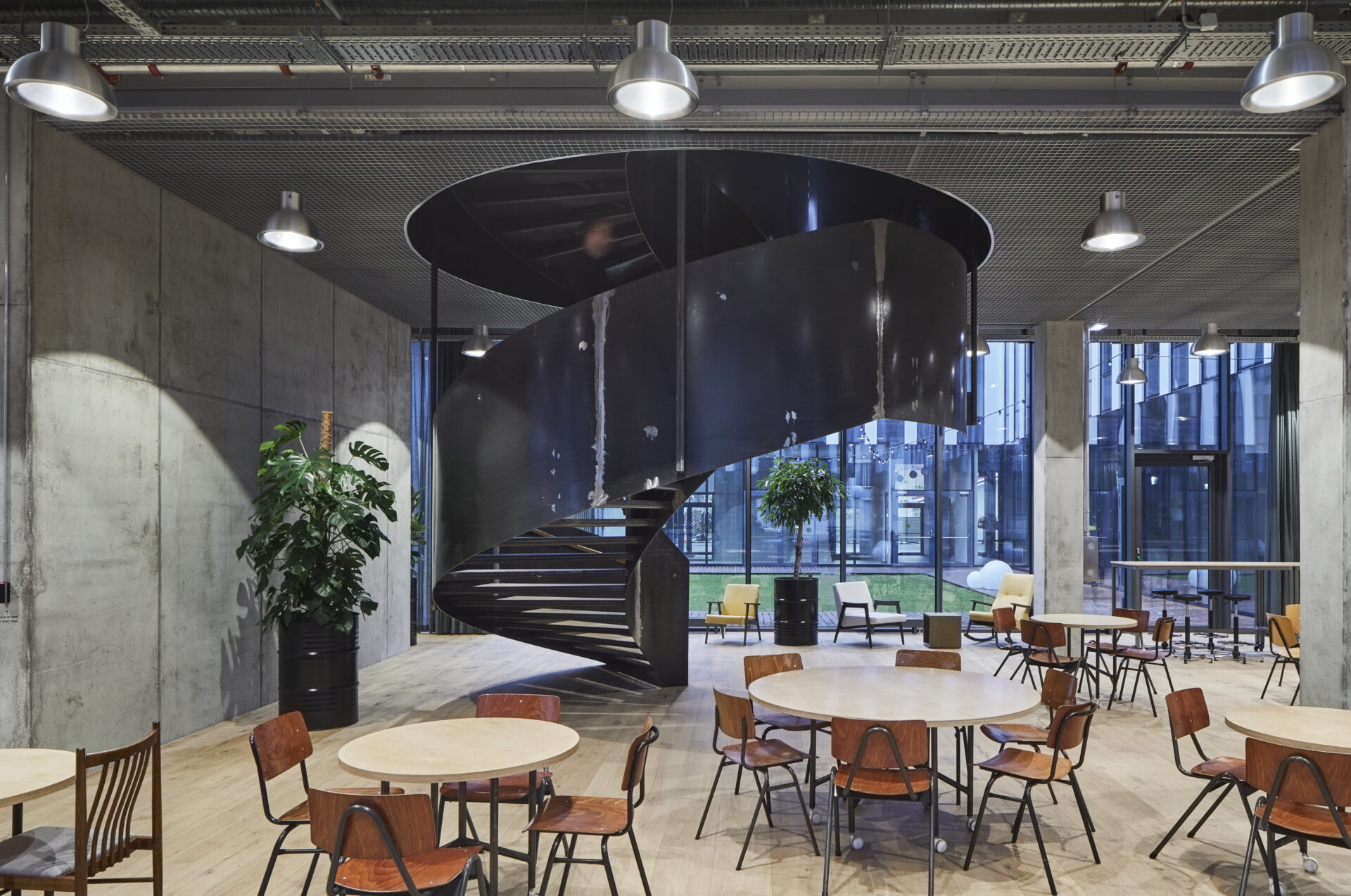 Medinės grindys, parketas: WP Charisma, bespalvė alyva