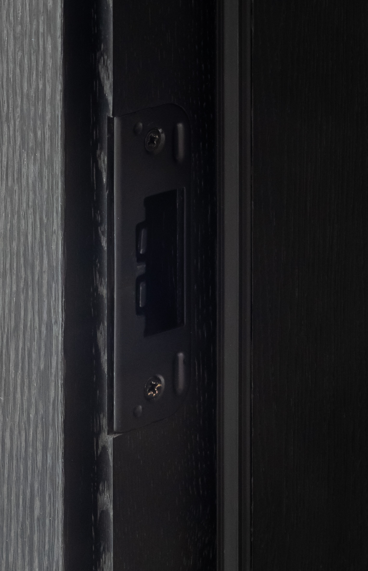 Vidaus durys Modern Premium - NCS S 9000 N