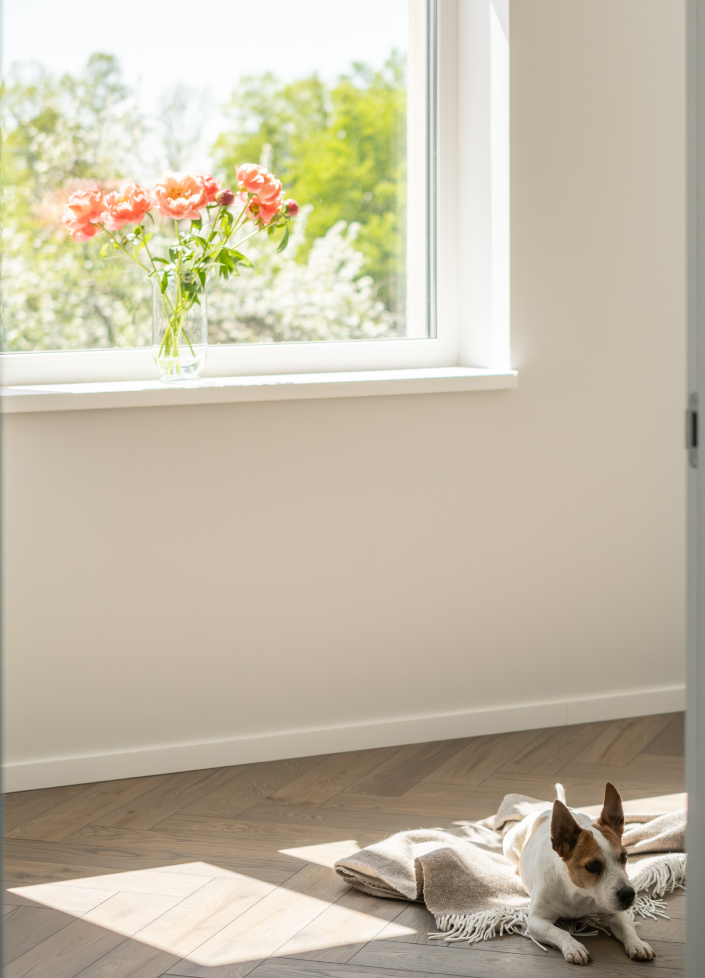 Kodėl NT vystytojai renkasi ąžuolinį parketą?