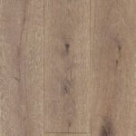 C 3020, Mocha (Copy)