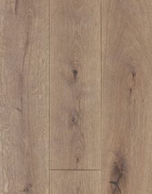 C 3020, Mocha (Copy)