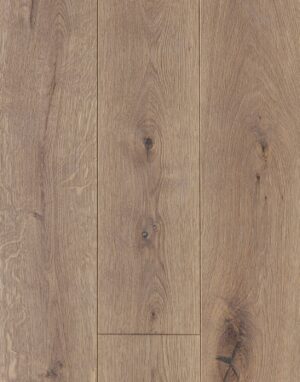 C 3020, Mocha (Copy)